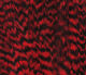 Preview image of product Hareline Half Cape #310 Grizzly Red