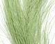 Preview image of product Hackle Hair Olive #263 Olive