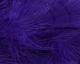 Preview image of product Intruder Feather Prop Hackle #35 Bright Purple