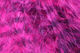 Preview image of product Jailhouse Marabou Fl Hot Pink Barred Purple #133