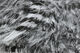 Preview image of product Jailhouse Marabou White Barred Black #377