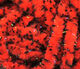 Preview image of product UV Mottled Galaxy Mop Chenille #310 Red