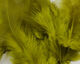 Preview image of product Soft Hackle Golden Yellow Olive #162