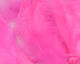 Preview image of product Soft Hackle Hot Pink #188