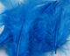 Preview image of product Soft Hackle Kf Blue #199