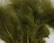 Preview image of product Soft Hackle Olive #263