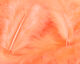 Preview image of product Soft Hackle Shrimp Pink #341
