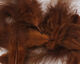 Preview image of product Mini Marabou Brown #40