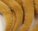 Preview image of product Mangum's 4 Inch UV2 Micro Dragon Tails #369 Tan