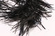 Preview image of product Microflex Palmered Bugger Chenille Black #11