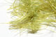 Preview image of product Microflex Palmered Bugger Chenille Light Olive #212