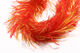 Preview image of product Microflex Soft Hackle Chenille Extra Large Flaming Copper #120