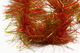 Preview image of product Microflex Soft Hackle Chenille Extra Large Flaming Olive #121
