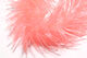 Preview image of product Microflex Soft Hackle Chenille Extra Small Shell Pink #340