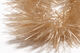 Preview image of product Microflex Soft Hackle Chenille Extra Small Tan #369