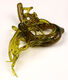 Preview image of product Mini Squiggle Worms #263 Olive