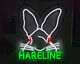 Preview image of product Hareline Neon Sign 12"x15"