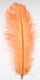 Preview image of product Ostrich Herl Scud Orange #335
