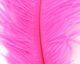 Preview image of product Ostrich Marabou #147 Fuchsia