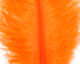 Preview image of product Ostrich Marabou #187 Hot Orange