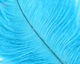 Preview image of product Ostrich Marabou #199 Kingfisher Blue