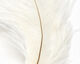 Preview image of product Ostrich Marabou #377 White