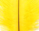 Preview image of product Ostrich Marabou #383 Yellow