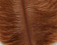 Preview image of product Ostrich Marabou #40 Brown