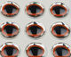 Preview image of product 1/4 Inch Oval Pupil 3D Eyes #271 Orange Black Pupil