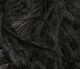 Preview image of product Ostrich Plume Black #001