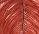 Preview image of product Ostrich Plume Brown #002