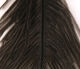 Preview image of product Ostrich Plume Natural Grey #063