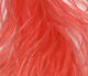 Preview image of product Ostrich Plume Salmon #102