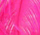 Preview image of product Ostrich Plume Hot Pink #150