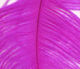 Preview image of product Ostrich Plume Cerise #151