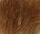Preview image of product Ozzie Possum Fur Piece #31 Bonefish Tan