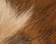 Preview image of product Petite Bucktail Tan #369