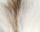 Preview image of product Petite Bucktail White #377