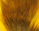 Preview image of product Petite Bucktail Yellow #383