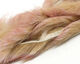 Preview image of product Polychrome Rabbit Strips Tan / Pale Purple / Pale Rust #6