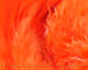 Preview image of product Premo Turkey Flats #137 Fl. Orange