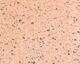 Preview image of product River Road Foam Crayfish Orange Speckled #6