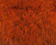 Preview image of product Cross Cut Hide #19 Crawfish Orange