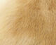 Preview image of product Rabbit Hide  #3 Light Brown 