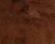 Preview image of product Cross Cut Hide #37 Brown