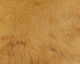 Preview image of product Cross Cut Hide #43 Tan