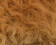 Preview image of product Rams Wool Tan #369