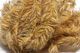 Preview image of product Large 15mm Speckled Black Mohair Scruff Golden Stone #161