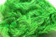 Preview image of product Medium 10mm Speckled Black Mohair Scruff Caddis Green #49