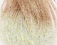 Preview image of product Shrimpy Crabby Legs #369 Tan
